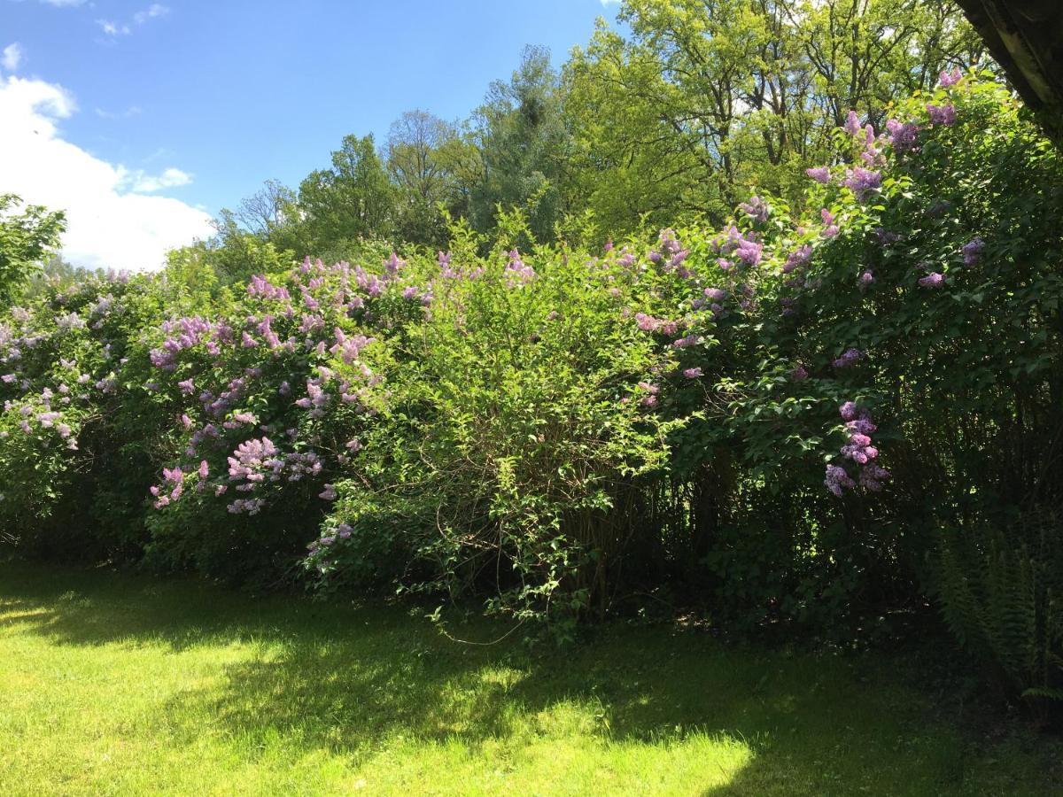 Dom Na Mazurach Villa Ruciane-Nida Bagian luar foto